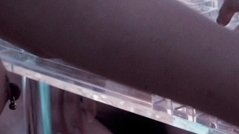 Pic: Ching-Man Chin in Utopians