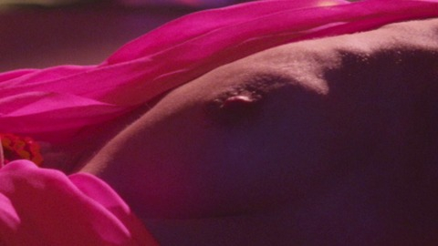 Pic: Elizabeth Rice in Paradise Club
