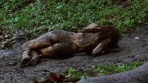 Pic: Mallika Sherawat in Hisss