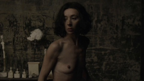 Pic: Sylvie Testud in Final Portrait
