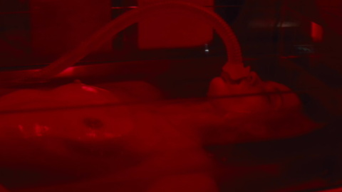 Pic: Abbey Lee in Elizabeth Harvest