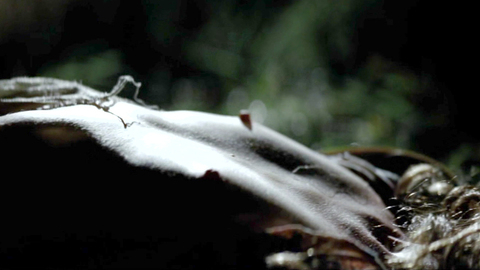 Pic: Dóra Sztarenki in Strangled