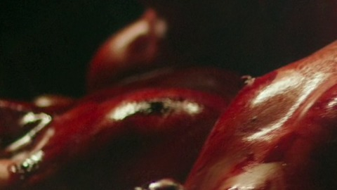 Pic: CeCe Sinclair in Habit