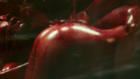 Pic: Elizabeth Knight in Habit