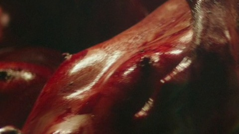 Pic: Elizabeth Knight in Habit