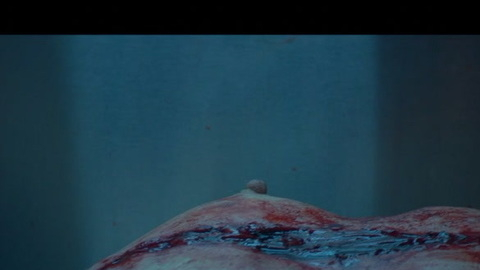 Pic: Jennifer Gjulameti in Chimera Strain