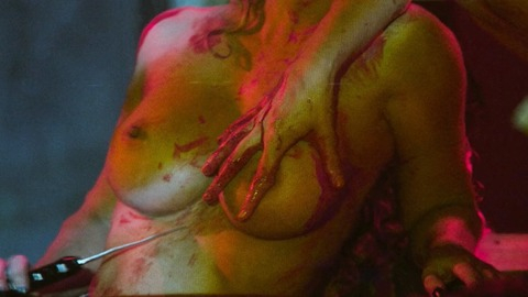 Pic: Diana Terranova in Director's Cut