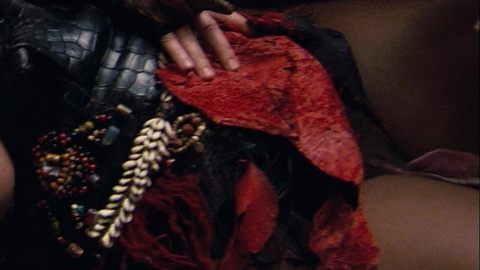 Pic: Yahima Torres in Black Venus
