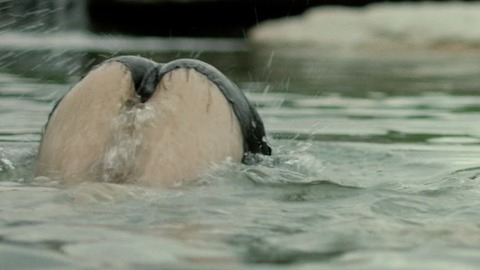 Pic: Sophie Reid in Barracuda