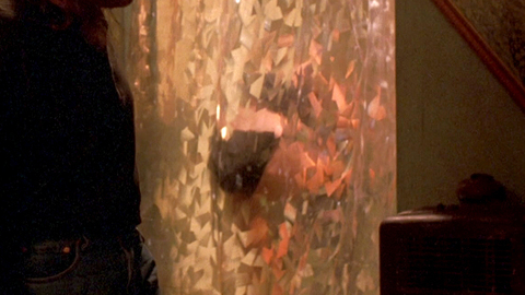 Pic: Heidi Marnhout in Phantasm IV: Oblivion