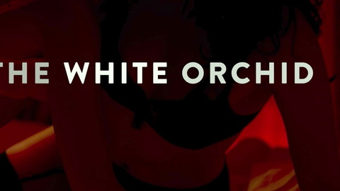 Pic: Kelsey Siepser in White Orchid