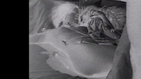 Pic: Kate Peckham in Lost on the Bohemian Road