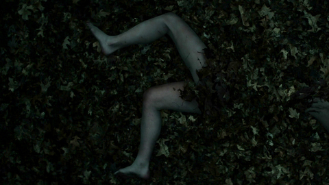 Pic: Julia Goldani Telles in Slender Man (2018)