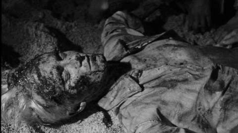 Pic: Anaël Snoek in The Wild Boys