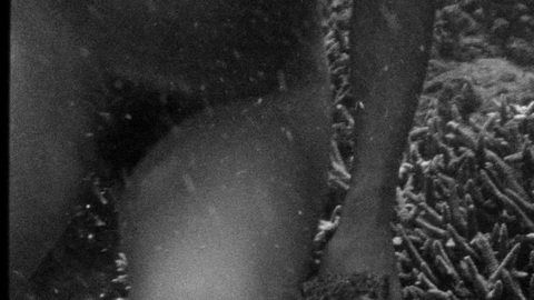 Pic: Vimala Pons in The Wild Boys