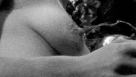 Pic: Mathilde Warnier in The Wild Boys