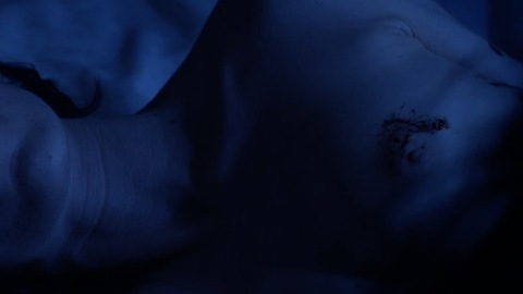 Pic: Nicole Stark in The Obsidian Curse