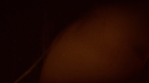 Pic: Margaret Qualley in IO