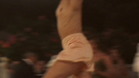 Pic: Ine Marie Wilmann in Sonja: The White Swan