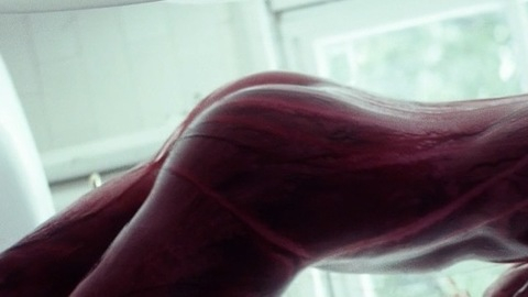 Pic: Imogen Waterhouse in Braid