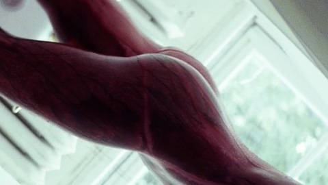 Pic: Imogen Waterhouse in Braid