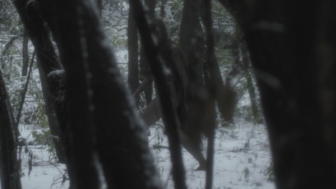 Pic: Pollyanna McIntosh in Darlin'