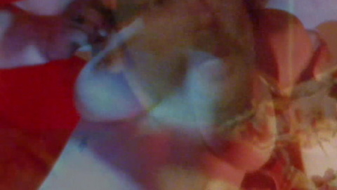 Pic: Pepper Wilde in Hot Lead Hard Fury