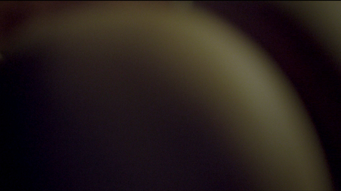 Pic: Paloma Bernardi in The Chosen One