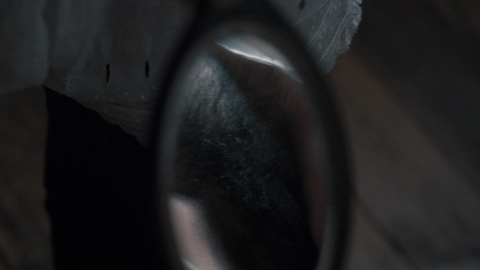 Pic: Noémie Merlant in Curiosa