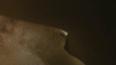 Pic: Aniko Kaszas in The Boys