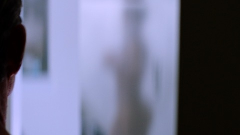 Pic: Meagan Good in The Intruder