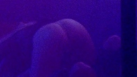 Pic: Tru Collins in Bliss