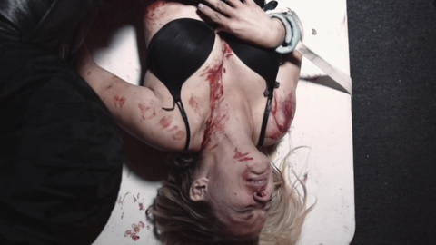 Pic: Ash Hamilton in Domestic Seduction