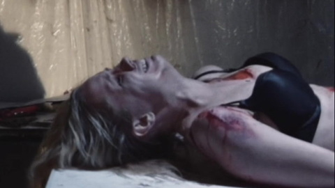 Pic: Ash Hamilton in Domestic Seduction