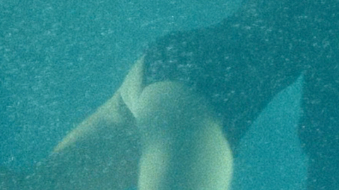 Pic: Kim Riedle in Skylines