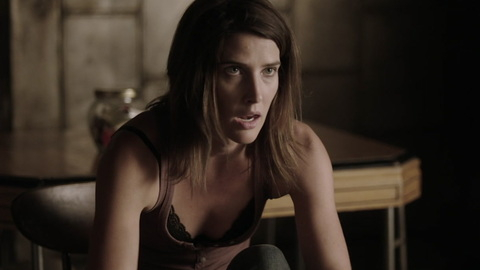 Pic: Cobie Smulders in Stumptown