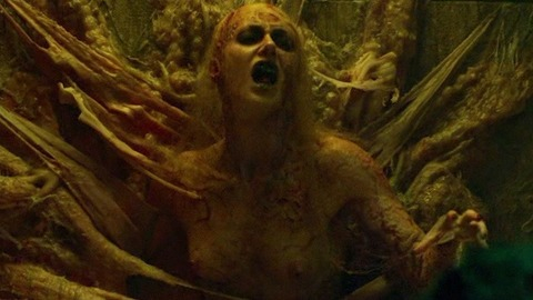 Pic: Tristan Risk in Rabid