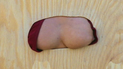 Pic: Marla Simon in Microwave Massacre