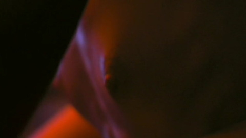 Pic: Katherine Moennig in The L Word: Generation Q