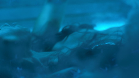 Pic: Renée Elise Goldsberry in Altered Carbon (2018-2020)