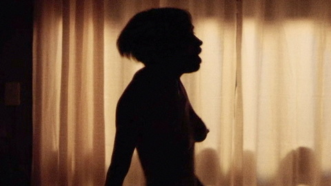 Pic: Julianne Nicholson in Initials S.G.