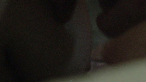 Pic: Alia Shawkat in Animals