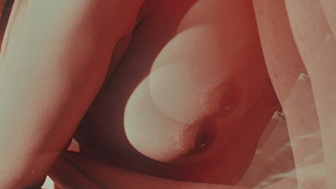 Pic: Ivi Brickell in Abrakadabra