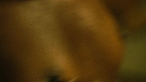 Pic: Samira Carvalho in Hard