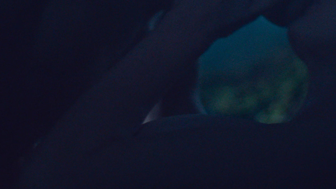 Pic: Wiktoria Filus in The Woods