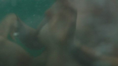 Pic: Jessie Buckley in Beast (2017)