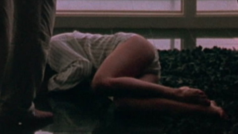 Pic: Julia Roberts in Sleeping with the Enemy