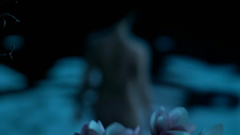 Pic: Liu Yifei in Mulan