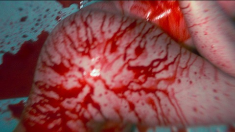 Pic: Tainá Müller in Good Morning, Verônica