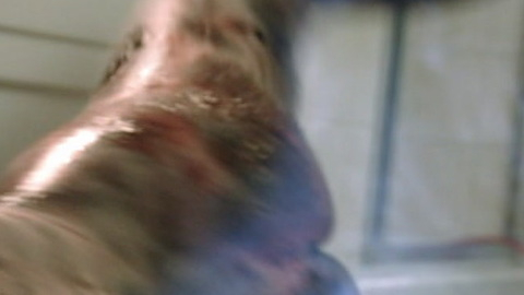 Pic: Andi Yuma in The Ice Wolf Queen